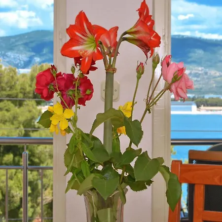 Apartment Aurelija- 20m From